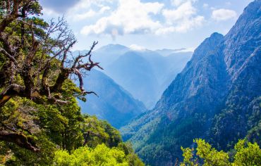 The gorge of Samaria